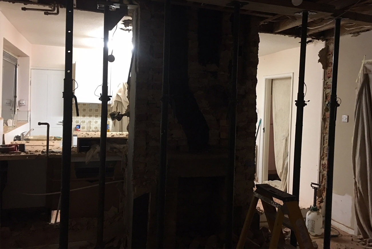 Bissell crosswave cleaner